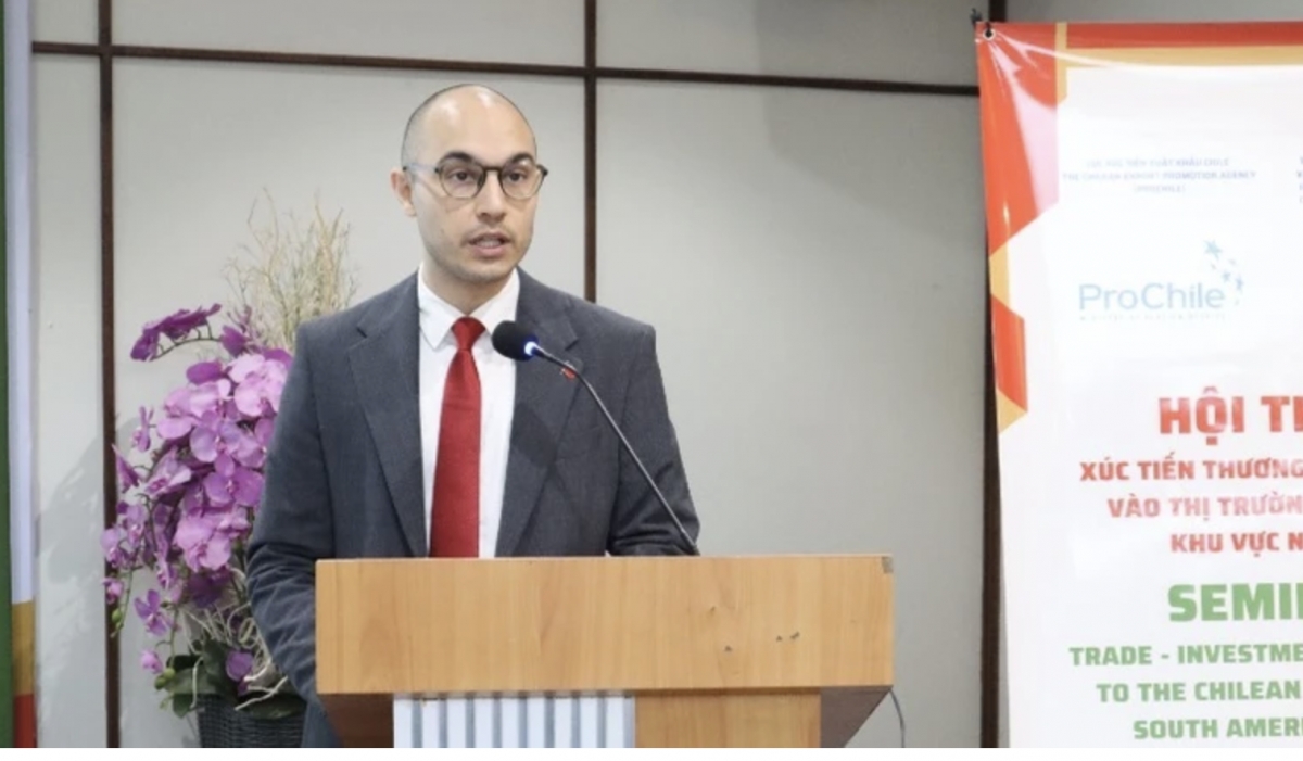 South America offers gateway for Vietnamese trade expansion